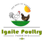 Draft-logo-03.jpg